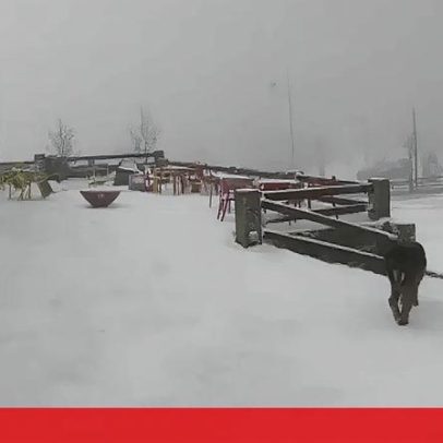Serra da Estrela passa de neve intensa para muita chuva