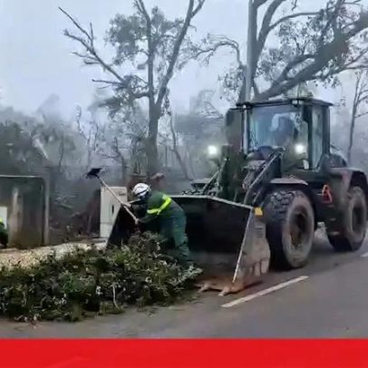Militares limpam ruas em Alvaiázere; mau tempo fecha várias estradas