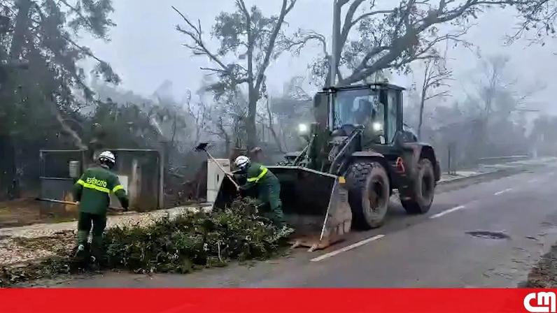 Imagens mostram militares e maquinaria a desimpedir via.