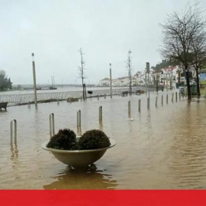 Caudal do Sado baixa em Alcácer do Sal; avenida continua inundada