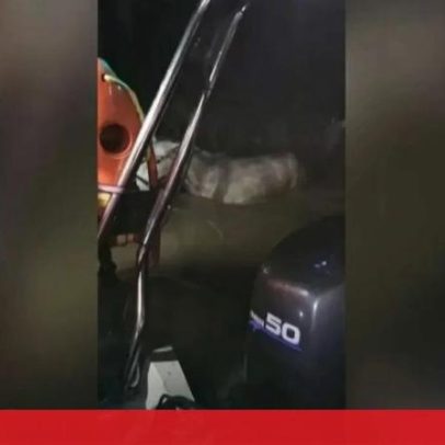 Três cavalos resgatados em Samora Correia após descida do caudal