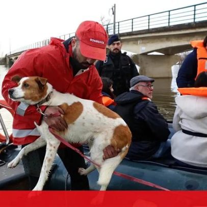 Fuzileiros e bombeiros evacuam população da Ereira por barco devido às cheias
