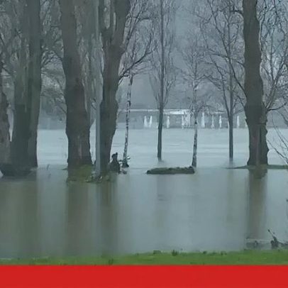 Margens do Mondego continuam alagadas