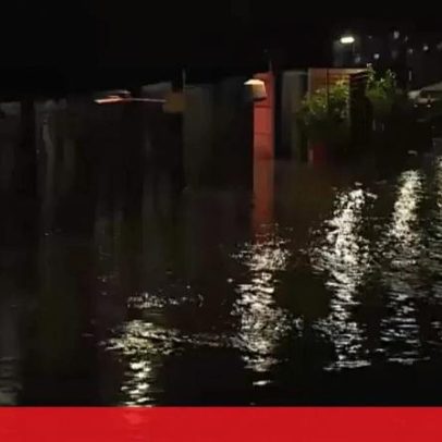 Aumento do nível das águas do Mondego coloca Proteção Civil em alerta