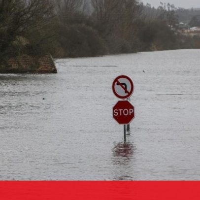 Risco de colapso de dique provoca apreensão em Soure