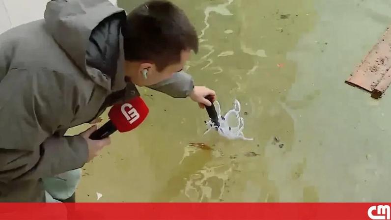 Jornalista da CMTV mostra casas e espaços exteriores completamente inundados em Coimbra