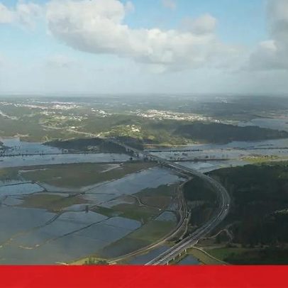 Força Aérea envia comitiva para avaliar danos nas florestas