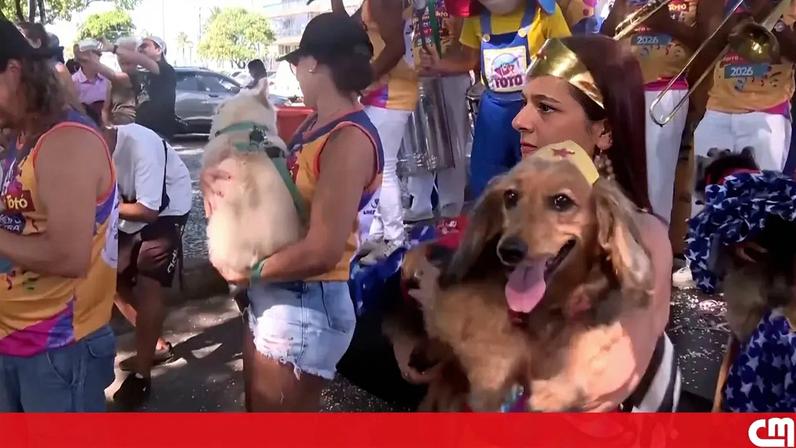 Cães mascarados participam em protesto contra maus-tratos a animais no Carnaval do Rio