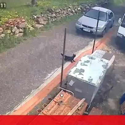 Imagens de videovigilância captam sismos sentidos em Alenquer