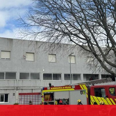 Idosa desalojada após incêndio em Albergaria-a-Velha
