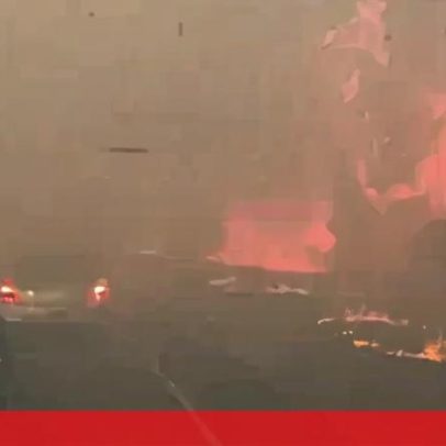 Incêndio florestal cresce rapidamente numa autoestrada em Nova Orleães