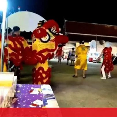 Polícia tailandesa disfarça-se de leão para deter suspeito de furtos