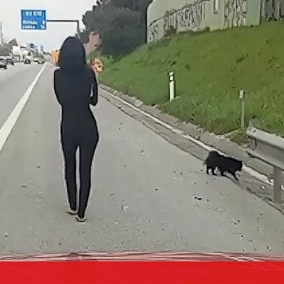 Mulher a passear cães pela berma da A2 em imagens