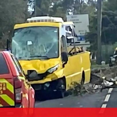Eucalipto cai sobre carro e autocarro em Sintra; cinco feridos