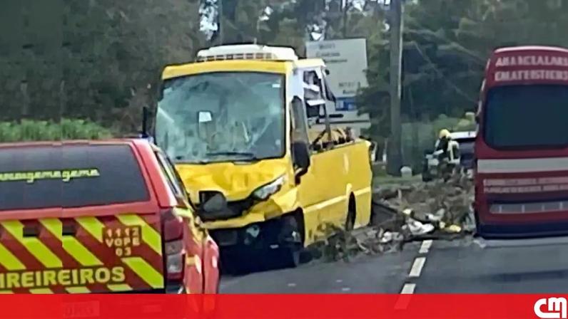 Eucalipto cai sobre carro e autocarro em Sintra; cinco feridos