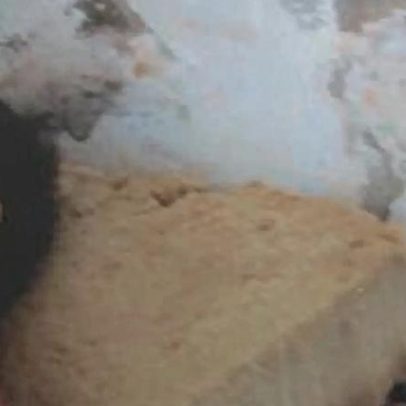 Menina de sete anos, autista, mantida em cativeiro num quarto sem luz em São Paulo