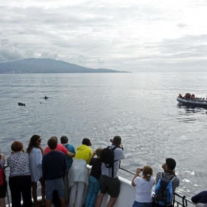 Atlânticoline cancela viagens entre Faial, Pico e São Jorge por mau tempo