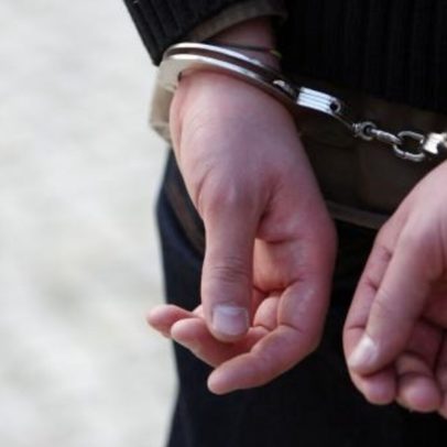 Homem detido por caçar com chamariz sem autorização em Mirandela