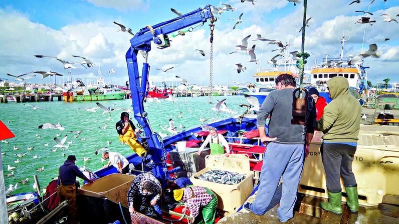 FOTO: Pedro Noel da Luz