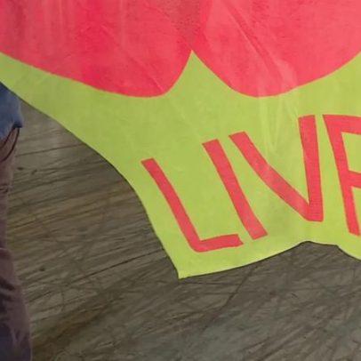 Livre questiona Governo sobre condições de voto nos concelhos afetados