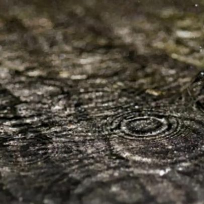 Proteção Civil registava 95 ocorrências nas primeiras horas de segunda-feira