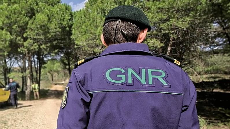 Depósito ilegal de resíduos e veículos suspeitos de contaminar solos na Terceira