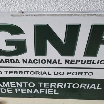Quinze detidos por suspeita de integrar rede de tráfico de droga no Norte
