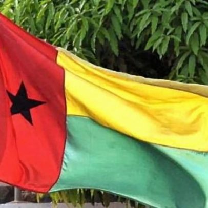 Greenpeace elogia Guiné-Bissau pela proibição de farinha e óleo de peixe