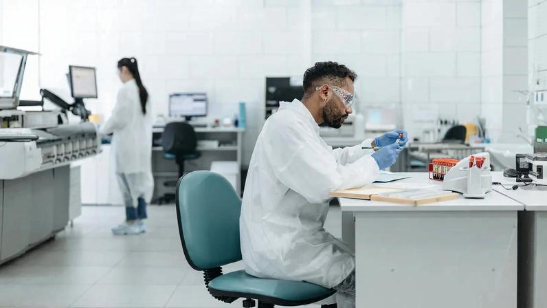 Estudo indica que moluscos eram alimento básico no Mesolítico