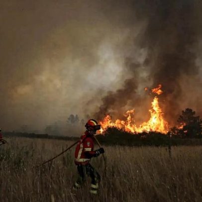 Governo propõe reclusos a limpar matas para prevenir fogos florestais