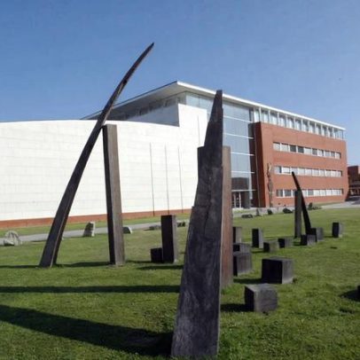Investigadores da Universidade de Aveiro criam bioplástico com casca de cebola