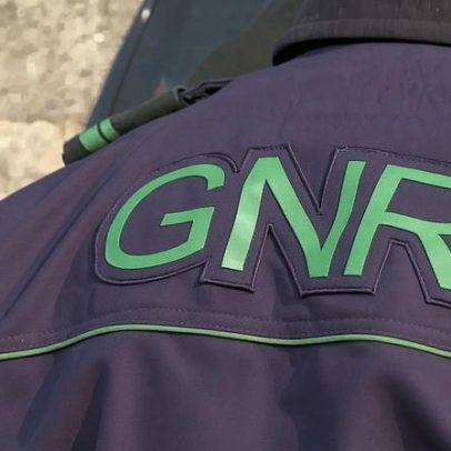 Homem condenado a trabalho comunitário por abandono de animal na Guarda