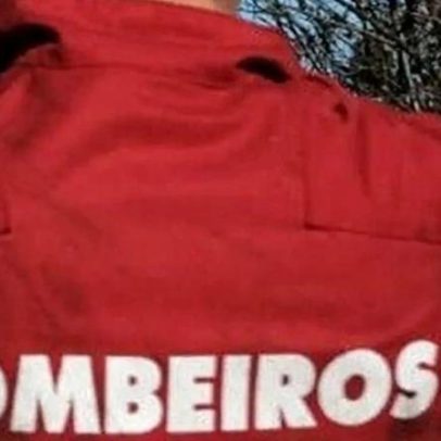 Presidente da Liga dos Bombeiros defende comissão consultiva no INEM