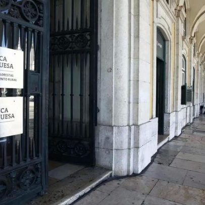 Ministério da Agricultura recebe mais de cinco mil candidaturas a apoios
