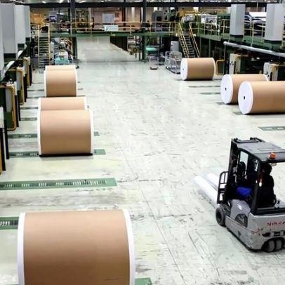 Navigator apoia produtores florestais afetados pela depressão Kristin