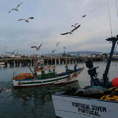 Pagamentos ao setor da pesca avançam este mês por mau tempo