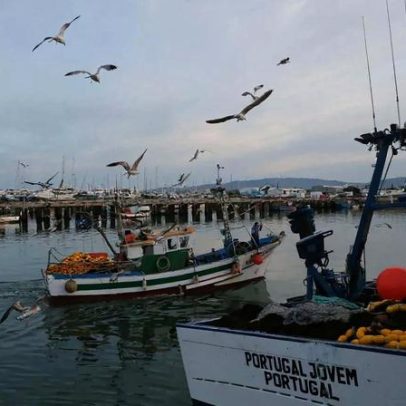 Autarquia e pescadores de Caminha solicitam apoio à pesca por mau tempo