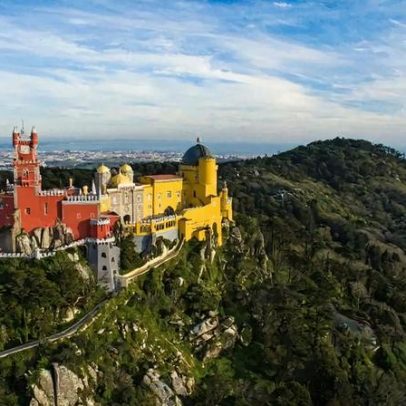 Mais de 250 mil árvores derrubadas em menos de um ano na Serra de Sintra