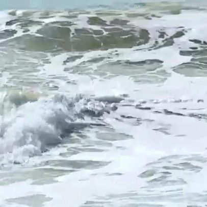 Costa inteira sob aviso laranja por ondas; 10 distritos com vento e neve
