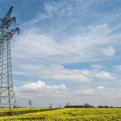 EDP já restabeleceu energia a 100% dos clientes afetados por tempestades