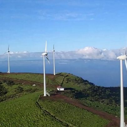 REN emite 300 mil milhões de euros em obrigações verdes; procura cinco vezes a oferta