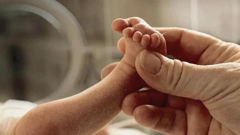 Em causa estão lotes de leite artificial infantil contaminados com a toxina emética 'cereulida'