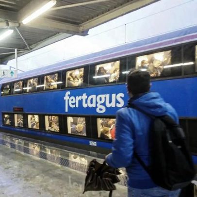 Perturbações na circulação de comboios Fertagus desde as 09h00