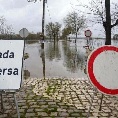 Golegã entra em alerta vermelho por risco de cheias