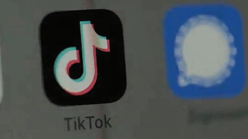 Albânia permite regresso de TikTok após "novos compromissos de segurança"