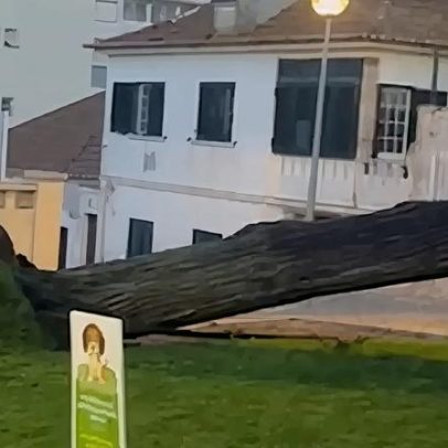 Moradores pedem apoio para salvar bens e conter derrocada em Mafra