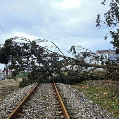 Quase um mês após Kristin, linhas ferroviárias continuam com constrangimentos