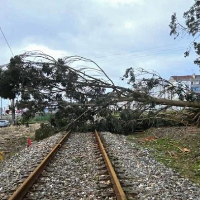 Circulação ferroviária cortada em trechos do Minho, Norte, Douro e Oeste