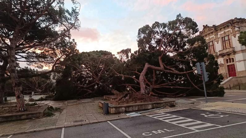 Queda de árvores e danos generalizados devido ao mau tempo
