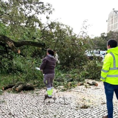 75 vias no distrito de Santarém afetadas pelo mau tempo